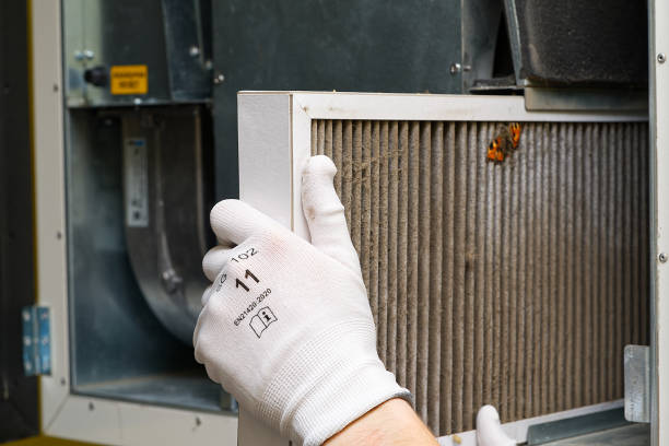 Best Air Duct Sanitizing Services  in Clarcona, FL