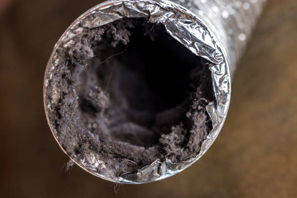 Best Dryer Vent Cleaning Services  in Clarcona, FL